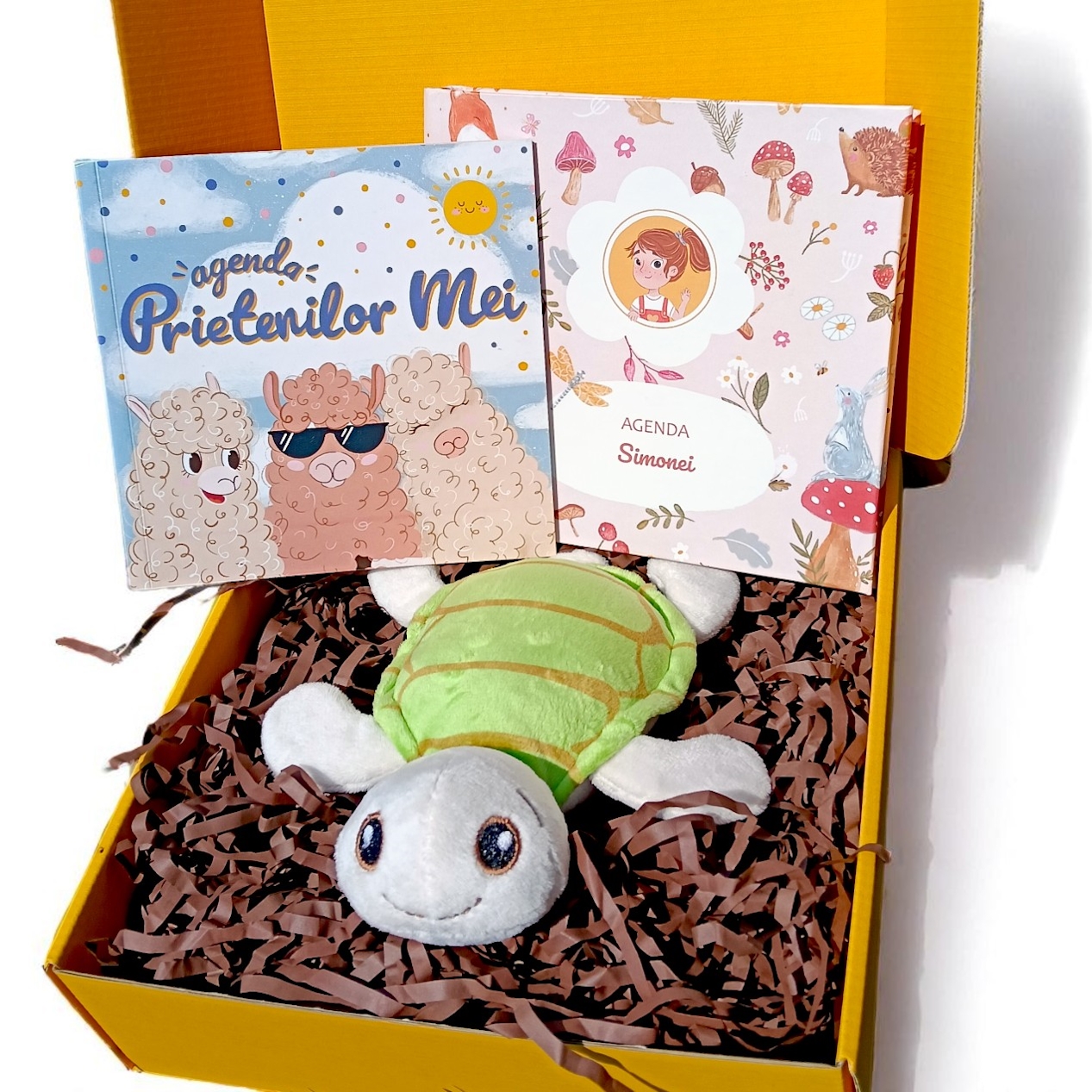 AlpacaBox 5 (ediție cu activități)