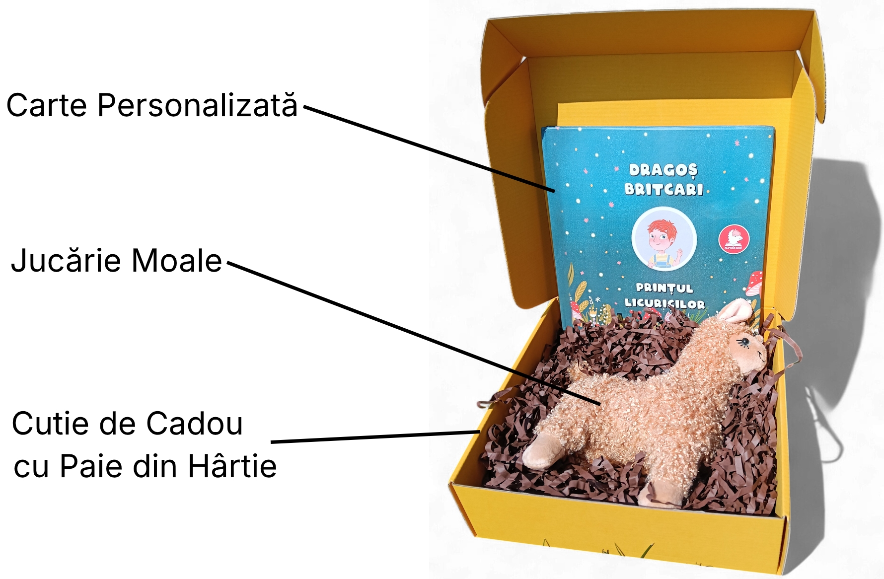 Explicație AlpacaBox